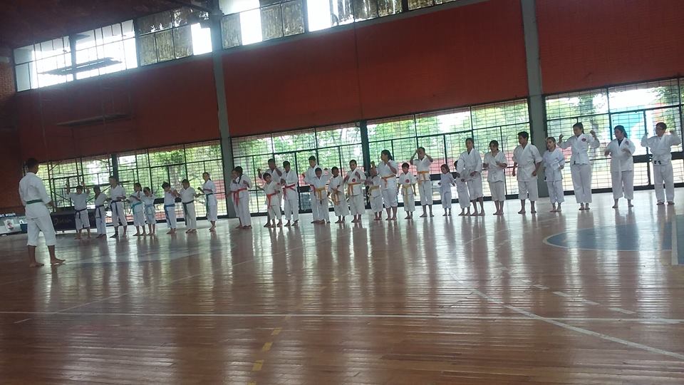 Cursos de Karate en el Gimnasio Municipal con la profesora,sensei Soledad Arjona