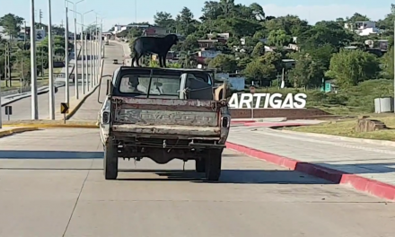 «Negro»,el perro que viaja todos los días en el techo de la camioneta de su dueño
