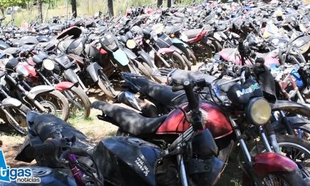 MÁS DE 500 MOTOS INCAUTADAS POR TRÁNSITO FUERON TRASLADADAS A CHACRA MUNICIPAL.