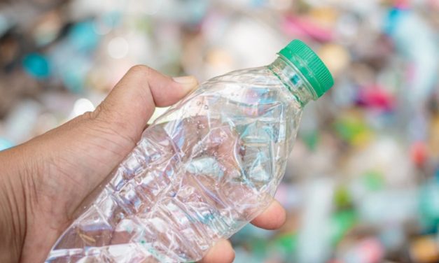 PAGARÁN POR DEVOLVER ENVASES DESCARTABLES: URUGUAY SERÁ PIONERO CON EL “PLAN VALE”