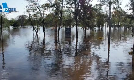 DESBORDE DEL RÍO URUGUAY DESPLAZÓ PERSONAS EN BELLA UNIÓN