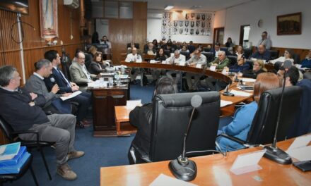 EL INTENDENTE EMILIANO SORAVILLA PRESENTÓ DOS PROYECTOS EN LA JUNTA DEPARTAMENTAL