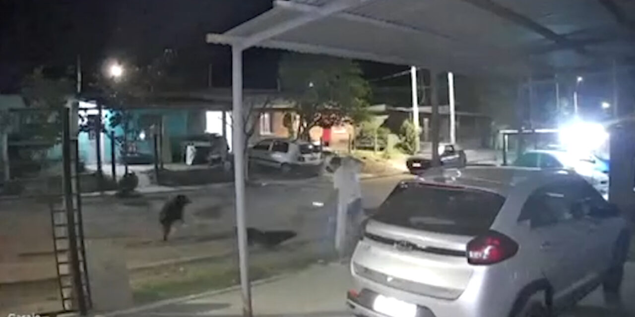 EL HECHO OCURRIÓ EN BARRIO MALVINAS. EL JOVEN SUFRIÓ VARIAS HERIDAS Y FUE ASISTIDO POR VECINOS