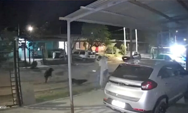 EL HECHO OCURRIÓ EN BARRIO MALVINAS. EL JOVEN SUFRIÓ VARIAS HERIDAS Y FUE ASISTIDO POR VECINOS