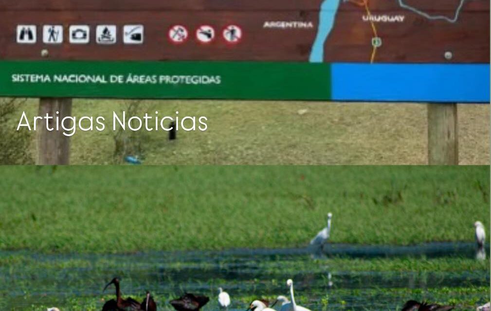 MINISTERIO DE AMBIENTE APROBÓ LAS PRIMERAS TRES RESERVAS PRIVADAS DEL PAÍS 𝗨𝗻𝗮 𝗲𝘀𝘁𝗮́ 𝗷𝘂𝗻𝘁𝗼 𝗮 𝗥𝗶𝗻𝗰𝗼́𝗻 𝗱𝗲 𝗙𝗿𝗮𝗻𝗾𝘂𝗶́𝗮