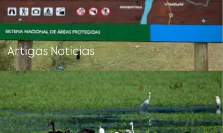 MINISTERIO DE AMBIENTE APROBÓ LAS PRIMERAS TRES RESERVAS PRIVADAS DEL PAÍS 𝗨𝗻𝗮 𝗲𝘀𝘁𝗮́ 𝗷𝘂𝗻𝘁𝗼 𝗮 𝗥𝗶𝗻𝗰𝗼́𝗻 𝗱𝗲 𝗙𝗿𝗮𝗻𝗾𝘂𝗶́𝗮