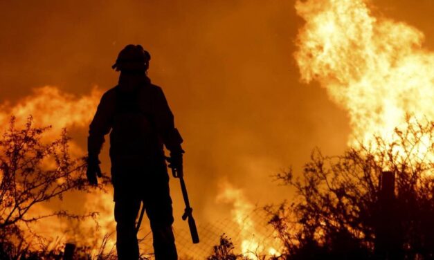 ARTIGAS ENTRE LOS DEPARTAMENTOS CON MAYOR SUPERFICIE AFECTADA POR INCENDIOS FORESTALES SEGÚN EL SINAE