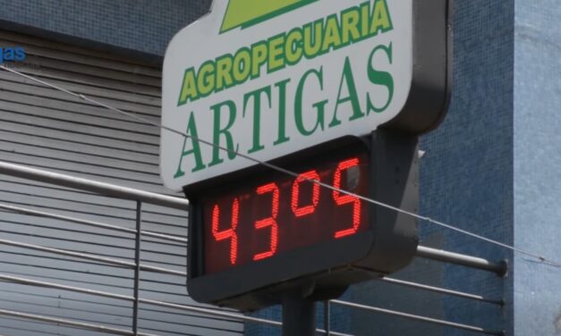 OLA DE CALOR EN ARTIGAS SUPERA LOS 43 GRADOS DE SENSACIÓN TÉRMICA
