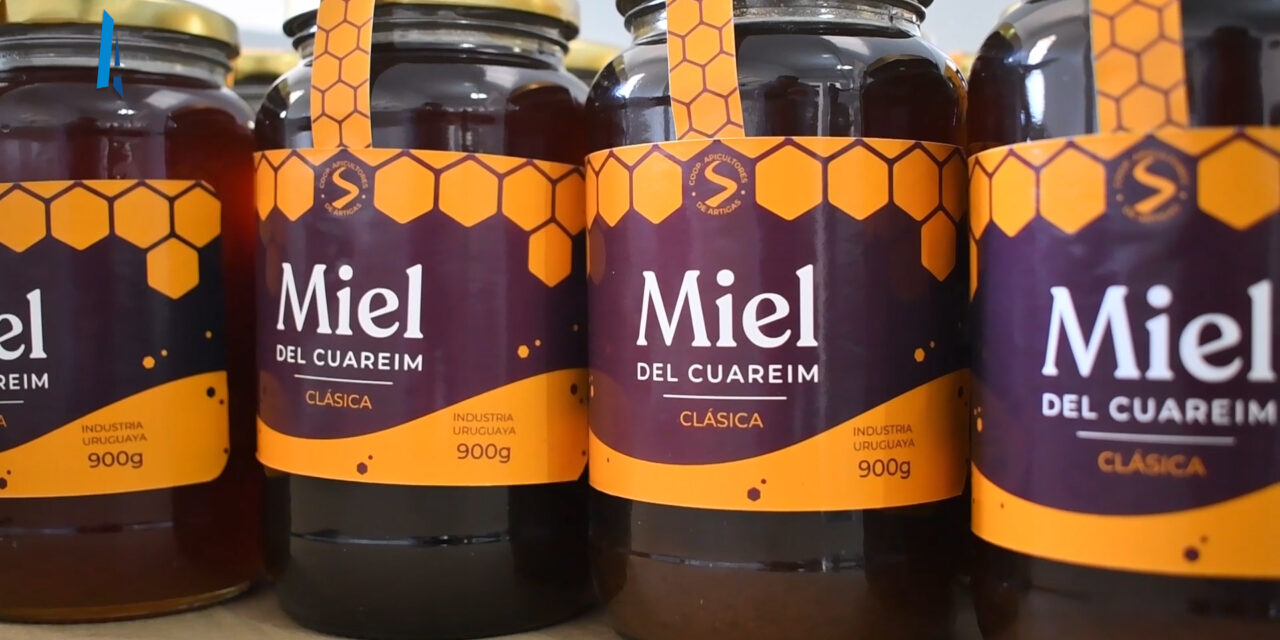 GRAN VENTA DE MIEL ARTIGUENSE A ESTADOS UNIDOS Y EUROPA: LA MEJOR DEL ÚLTIMO LUSTRO