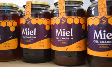 GRAN VENTA DE MIEL ARTIGUENSE A ESTADOS UNIDOS Y EUROPA: LA MEJOR DEL ÚLTIMO LUSTRO
