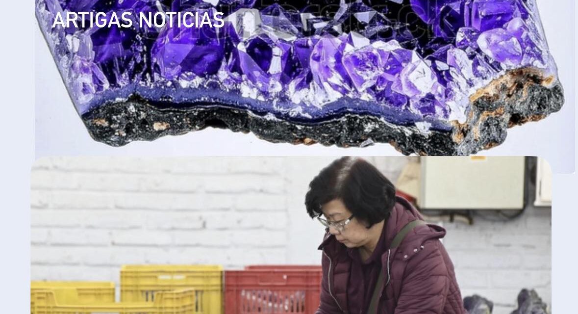  ARTIGAS, TIERRA DE TESOROS OCULTOS: LA FIEBRE DE LA AMATISTA QUE CONQUISTA AL MUNDO 