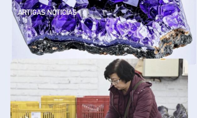  ARTIGAS, TIERRA DE TESOROS OCULTOS: LA FIEBRE DE LA AMATISTA QUE CONQUISTA AL MUNDO 