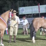 ARTIGUENSE MAURO VILLAMOR ALCANZÓ LOS MÁXIMOS GALARDONES EN LA EXPO NACIONAL DE CRIOLLOS 2026 EN PARAGUAY