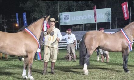 ARTIGUENSE MAURO VILLAMOR ALCANZÓ LOS MÁXIMOS GALARDONES EN LA EXPO NACIONAL DE CRIOLLOS 2026 EN PARAGUAY